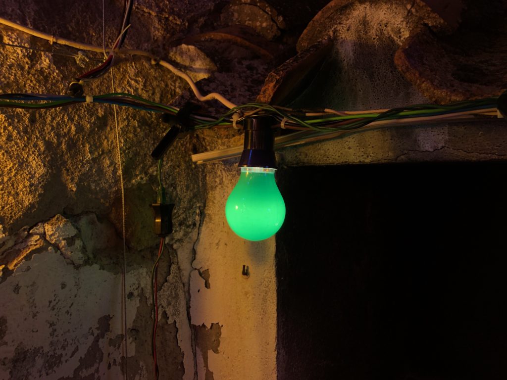 A green lightbulb.