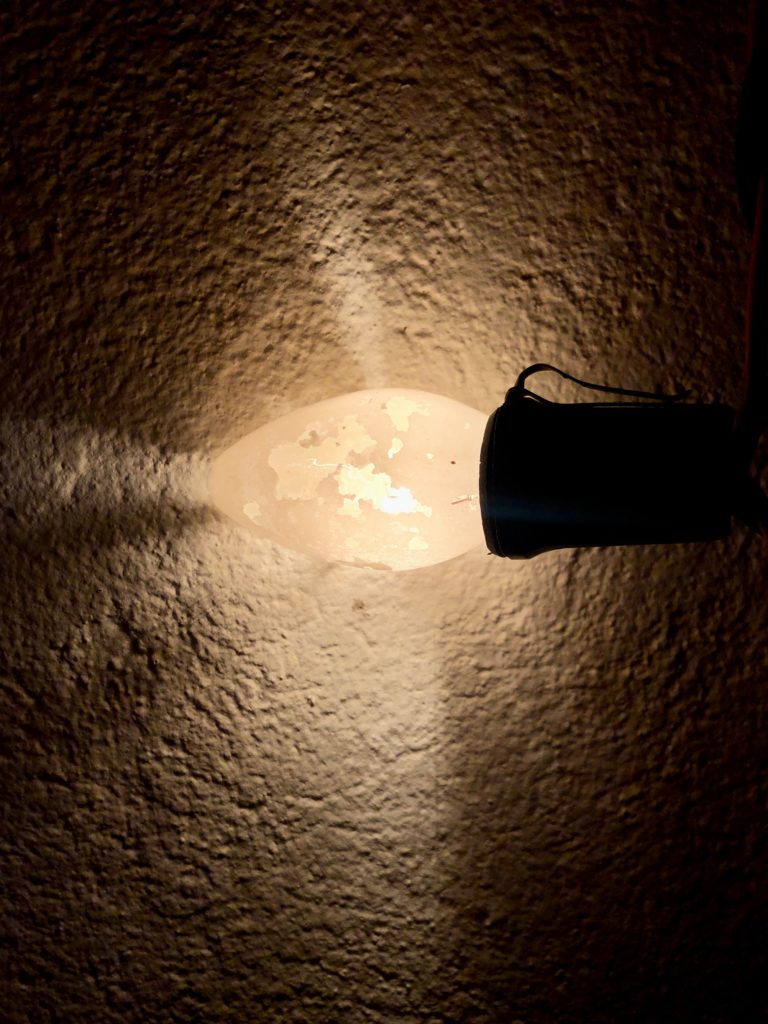 An old frosted-white lightbulb with cracks and holes appearing in the white paint used to create the frosted effect.