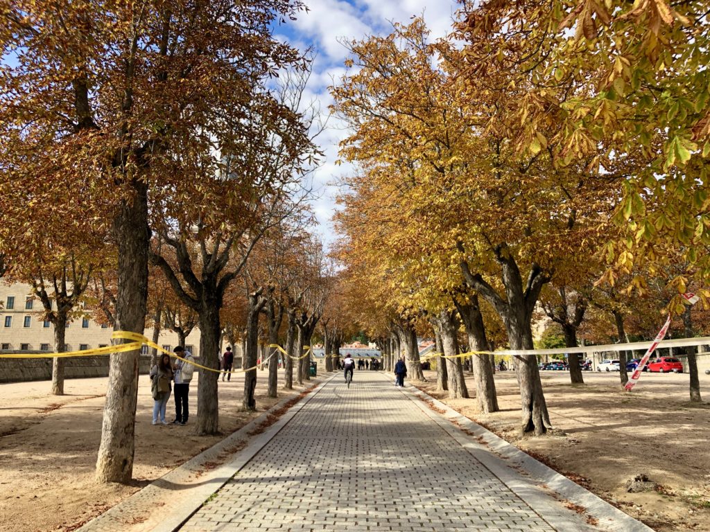 Yellow trees line a path in El Escorial.
