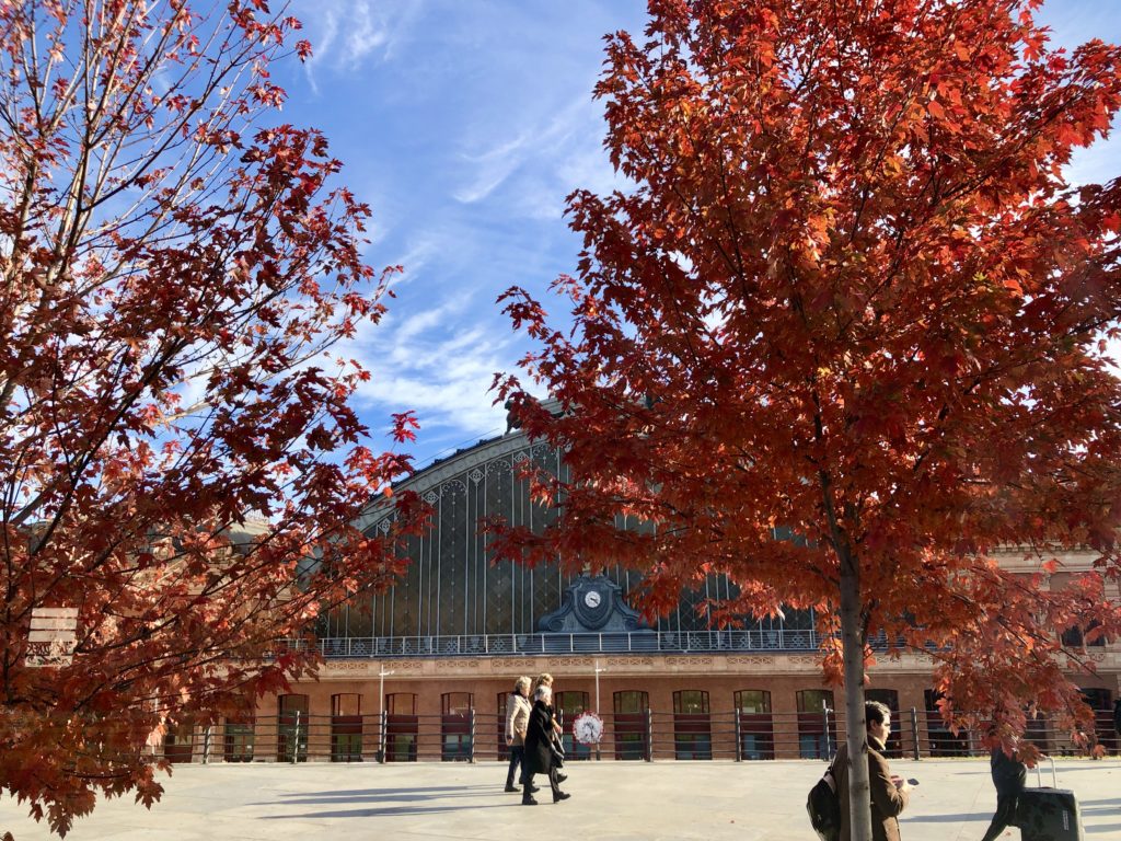 The trees outside Atocha Train Station in Madrid are bright red.