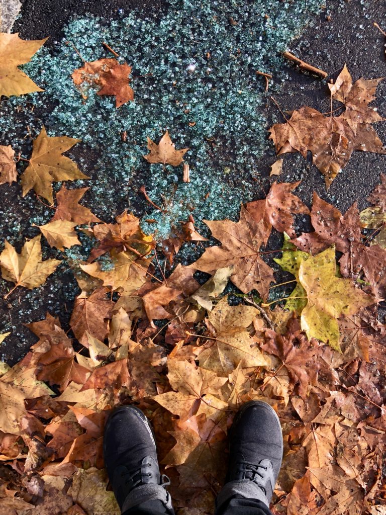 Autumn leaves and shattered glass.