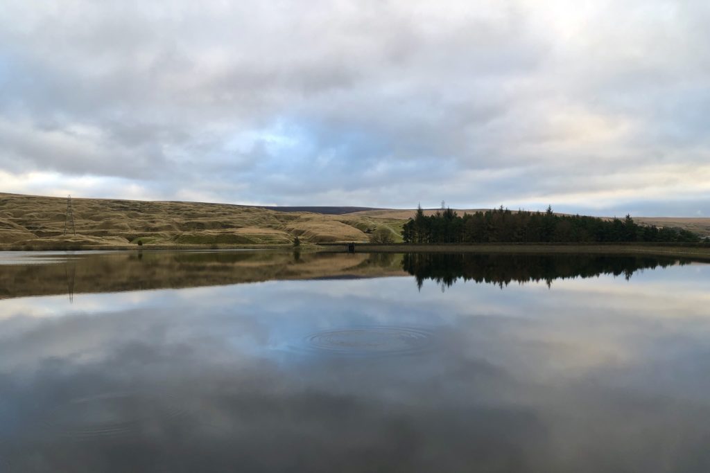 A cloudy sky and forest are reflected in the water of a reservoir.
