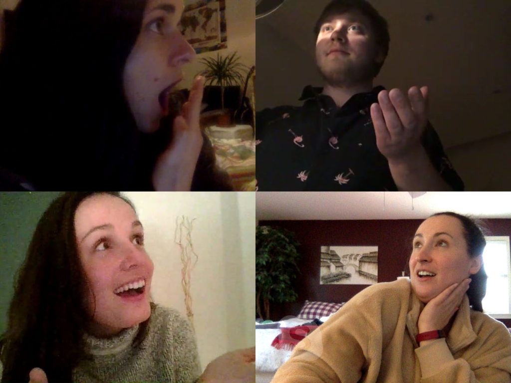 Loredana, me, Heidi, and Megan on Skype.