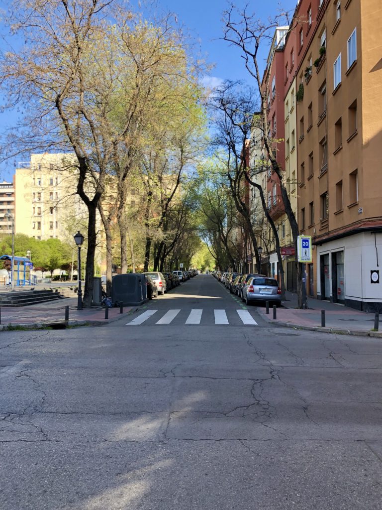 A empty street lined with trees during Madrid's coronavirus lockdown.