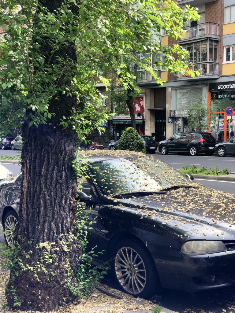 A car is covered in dead leaves in the street in Madrid, during the coronavirus lockdown.