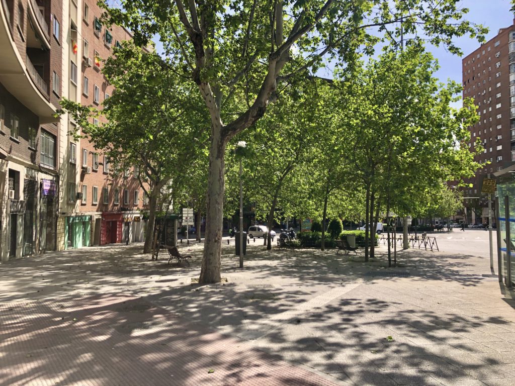 Sunlight shines through a clump of trees in a deserted Madrid during the coronavirus lockdown.