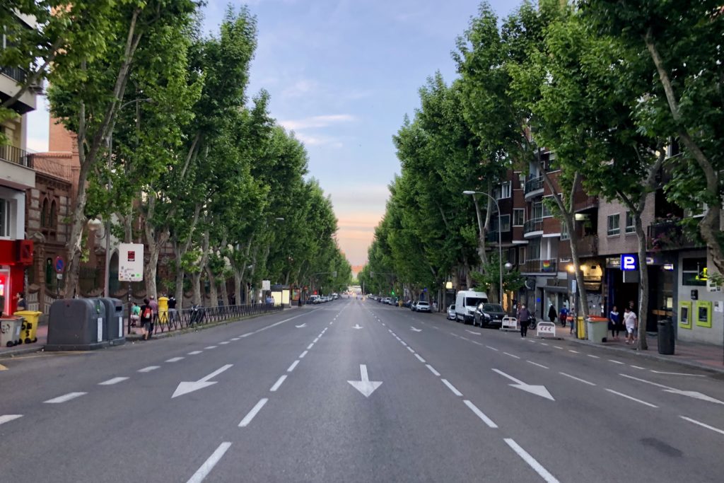 An empty tree-lined street near my flat in Madrid, with a beautiful sunset in the background.