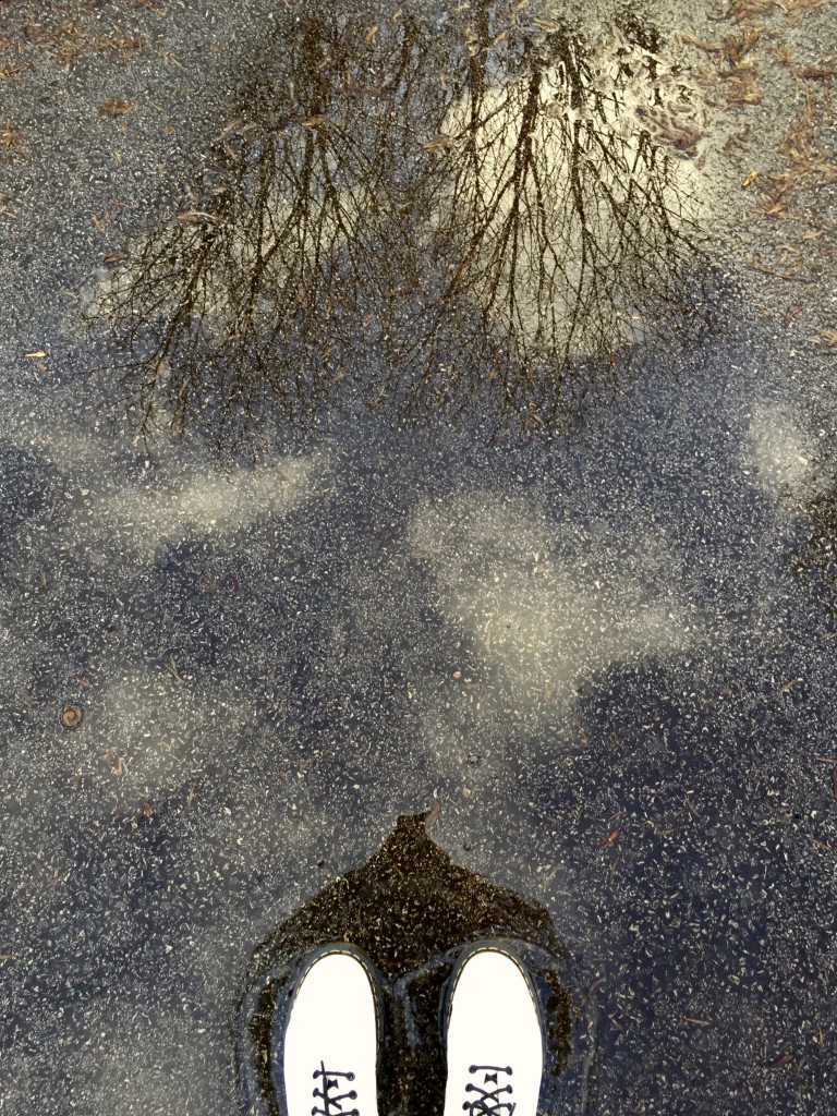 What an excellent puddle