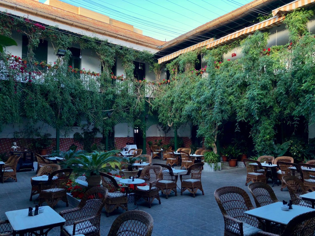 Drinks in a courtyard