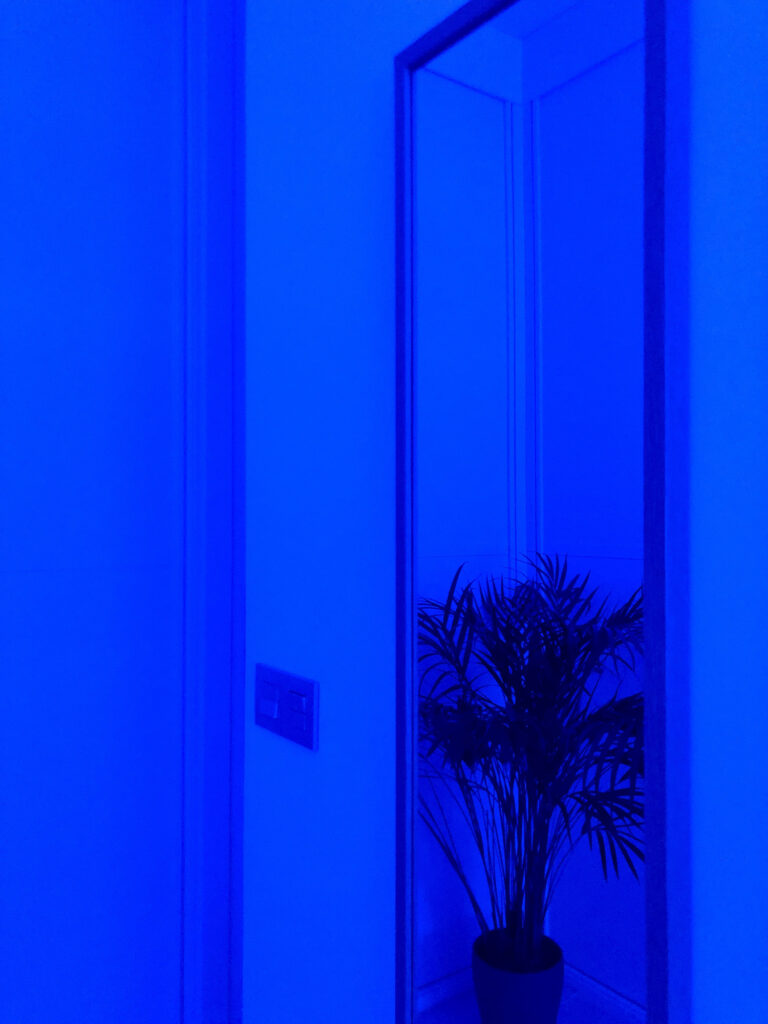 My house is illuminated in blue.